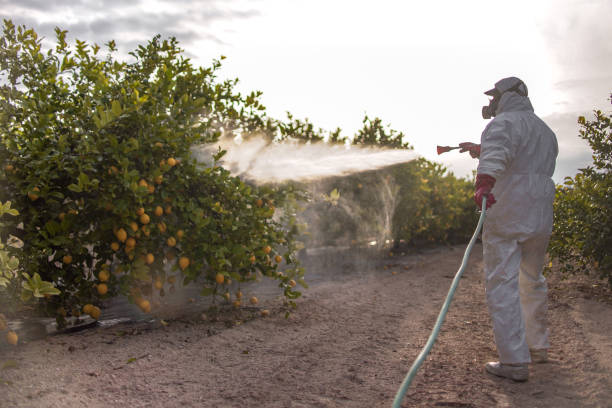 Reliable Milford, IL Pest Control Solutions