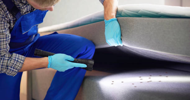 Flea Control Services in Milford, IL