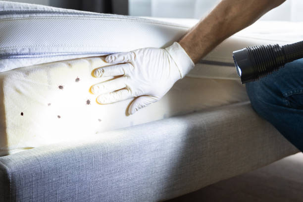  Mford, IL Pest Control Pros