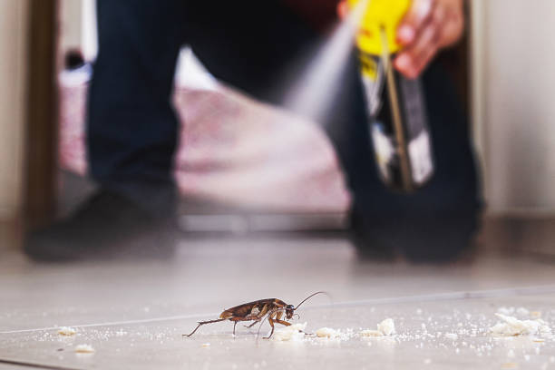 Best Residential Pest Control  in Mford, IL