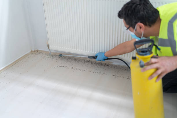 Best Emergency Pest Control  in Mford, IL